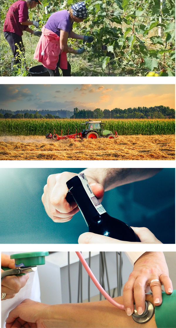 Agri pics 4
